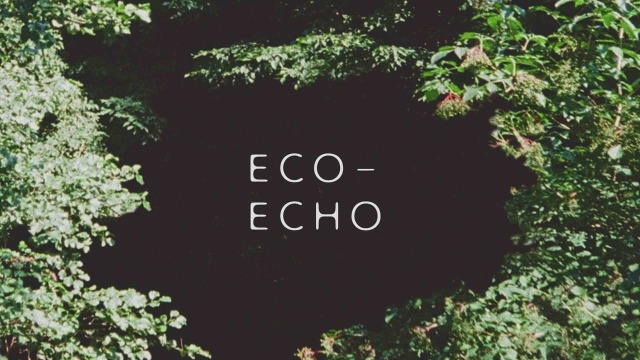 Image for 'Eco-Echo'