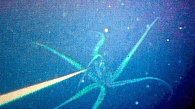 Image for 'FM MA 3021'