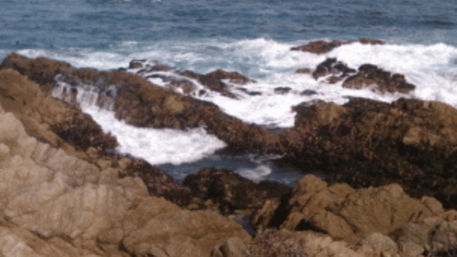 Image for 'Jazz-Cafe'