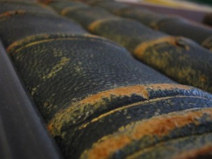 O94WISSENSCHAFT SPEZIAL