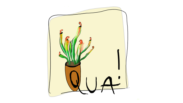 Image for 'Qua Qua Gedichte'