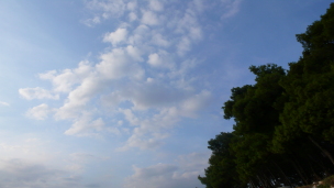 Schlau und schön aufwachen